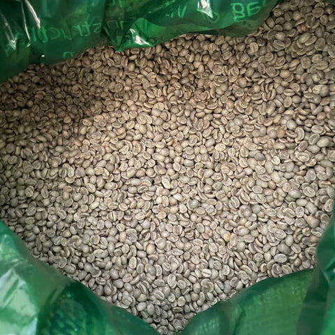 Colombian Antioquia Supremo Green Coffee Beans - Well Roasted Coffee