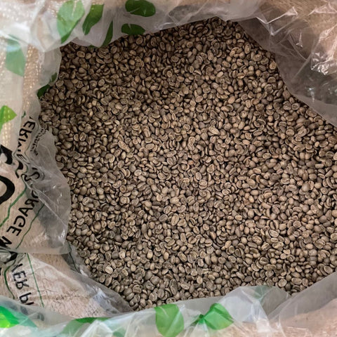 Organic Honduras GEA Green Coffee Beans - Well Roasted Coffee