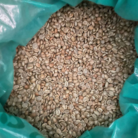 Kenya AA Mount Kenya Green Coffee Beans - Well Roasted Coffee